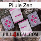 Zen Pill 33